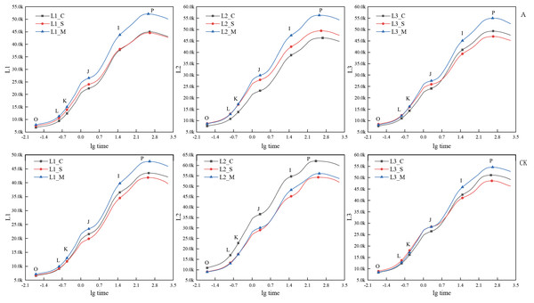 Comparison of JIP-test curves of three experimental materials under treatment A and CK group during flowering period.