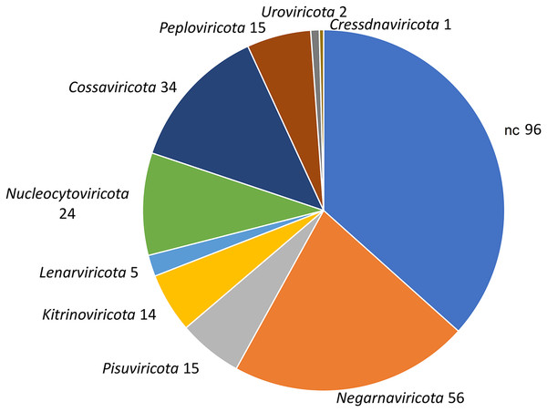 Taxonomic classification of 552 viral contigs performed by CAT.