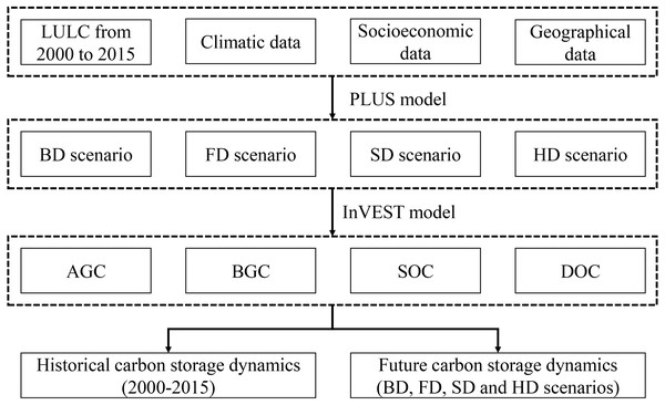 The framework for assessing carbon storage under different development scenarios.