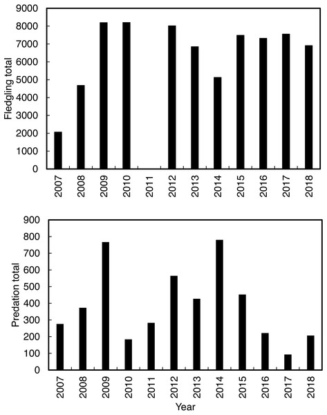 The total annual Cape gannets that fledged successfully (excluding 2011; without being predated) and the annual total predations by Cape fur seals on Cape gannet fledglings from 2007 to 2018 at Lambert’s Bay gannet colony, South Africa.