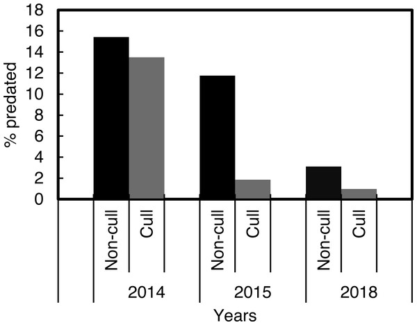 Percentage Cape gannet fledglings predated during the targeted Cape fur seal culling and non-culling periods in 2014, 2015 and 2018 at Lambert’s Bay gannet colony, South Africa.