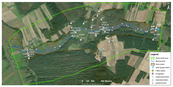 Monitoring network for the Upper Biebrza Valley—water level (dual piezometer—monitoring: water levels both in mineral and peat layers).