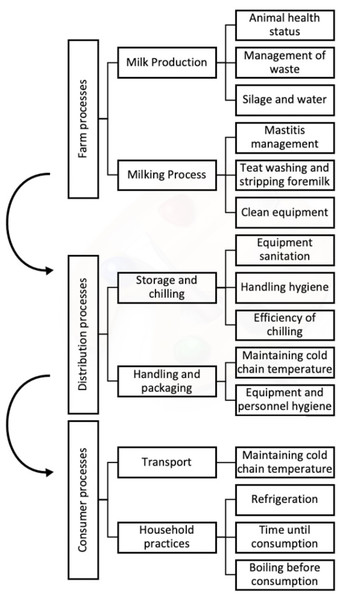 Flow diagram to highlight the processes which enable hazards, such as faecal contamination, environmental contamination, and microbial growth, to affect the milk.