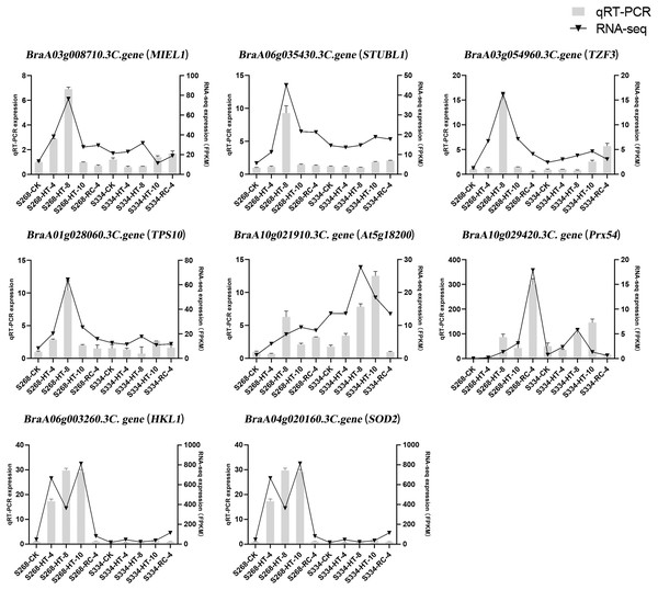 Relative expression of eight selected DEGs analyzed by qRT-PCR and RNA-seq expression trends.
