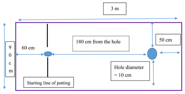 Overhead view of the experiment set-up.