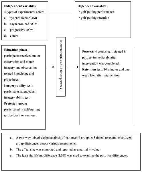 The flowchart of the experimental process.