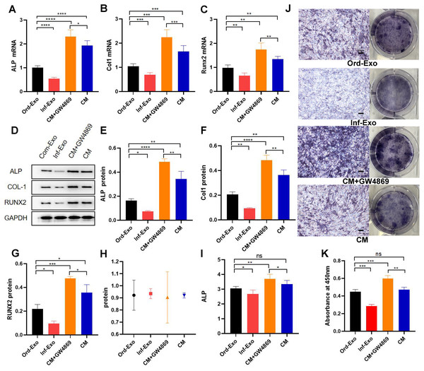 Effects of inflammatory macrophage-derived exosomes on osteogenic indices and ALP activity of BMSCs.