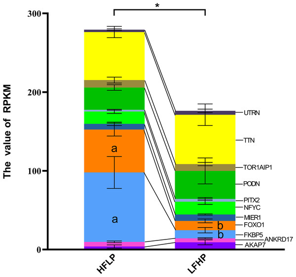 Gene expression levels between the DEGs and the DMGs.