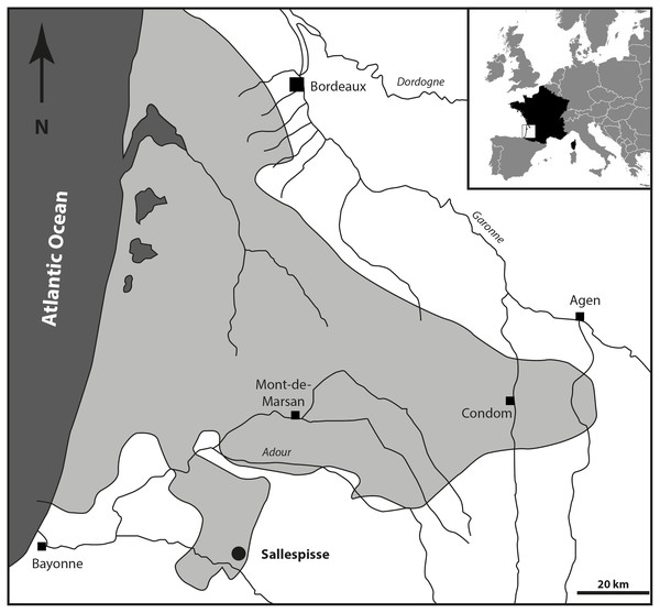 Geographical position of the fossiliferous locality of Sallespisse (Close-up on the Southwest France, redrawn from Cahuzac, Janin & Steurbaut, 1995).
