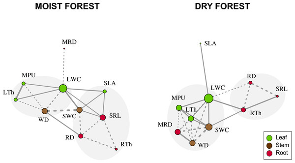Network trait correlations for a moist tropical forest and a dry tropical forest.
