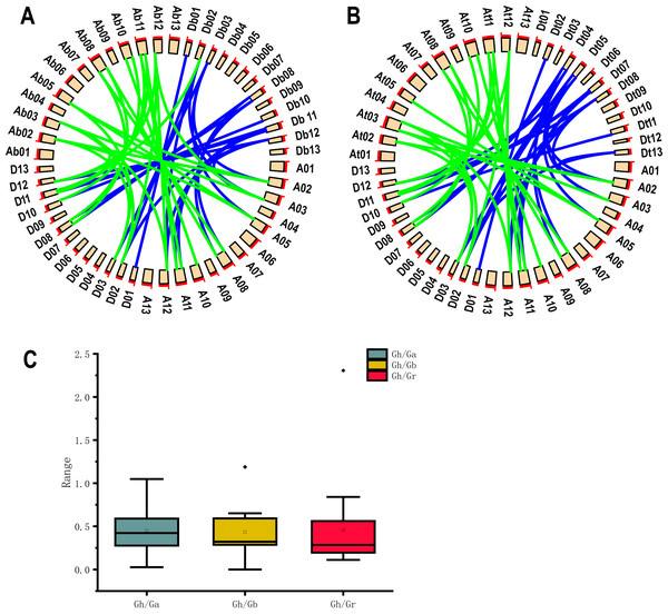 Collinearity analysis, Ka/Ks analysis and box plot of UGP homologous pairs of four cotton species.