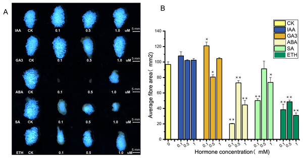 Phenotypic identification of hormones added to ovule culture.