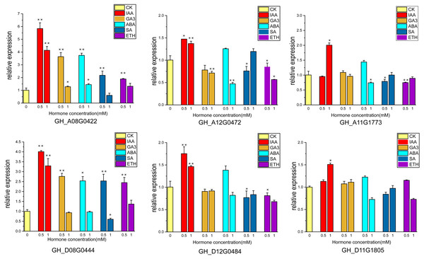 The relative expression levels of the 6 genes in the ovule at 15 DPA after hormone treatment were verified by qRT-PCR. CK is controlled without additional hormones, and the ovules only grow on BT medium. *, P < 0.05; **, P < 0.01.