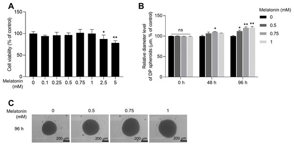 Effect of melatonin on cell viability and spheroid size of HDP cells.