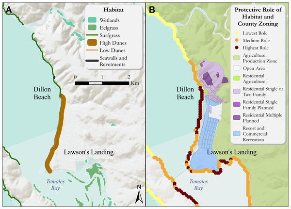 (A) Coastal habitats around Dillon Beach that confer protection from coastal hazards such as inundation and erosion. (B) The relative role of coastal habitats around Dillon Beach in reducing exposure to erosion and inundation from storms (darker colors denote a greater role).