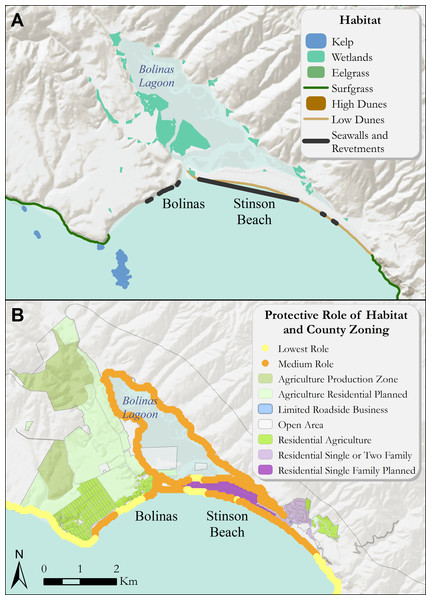 (A) Coastal habitats around Bolinas, Bolinas Lagoon, and Stinson Beach that confer protection from coastal hazards. (B) The relative role of coastal habitats around Bolinas and Stinson Beach in reducing exposure to erosion and inundation from storms (darker colors denote a greater role).