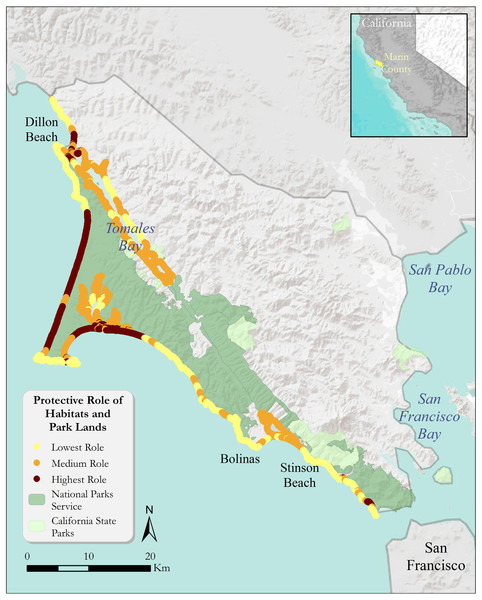 The relative role of coastal habitats in Marin county in reducing exposure to erosion and inundation from storms (darker colors denote a greater role).