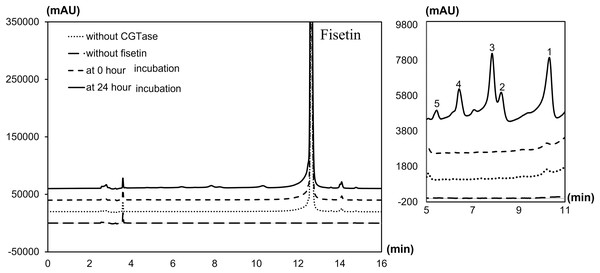 HPLC chromatogram of fisetin glycosides synthesized from fisetin and β-CD by CGTase.