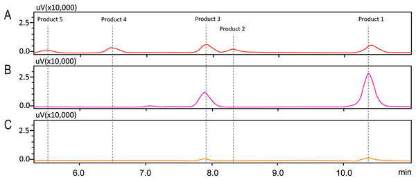 HPLC chromatograms of enzymatic analysis of obtained fisetin glycosides.