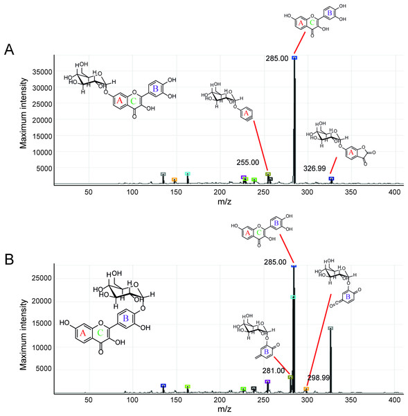 MS2 spectrum of parent ion at m/z 447.08.