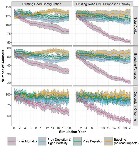 Tiger populations through time.