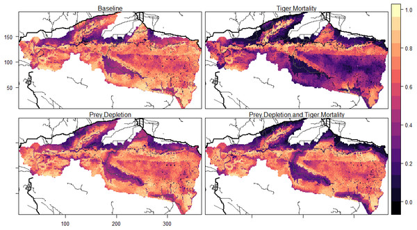 Patterns of tiger occupancy for each model experiment.