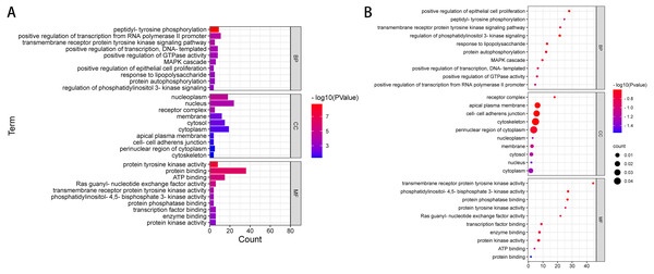 GO enrichment analysis of 39 pathogenic and potential pathogenic genes.