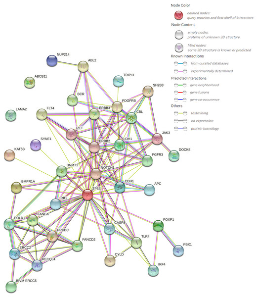 PPI networks of 39 pathogenic and potential pathogenic genes.