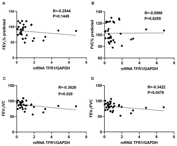 The correlation between TFR1 mRNA expression in induced sputum and the pulmonary function index.