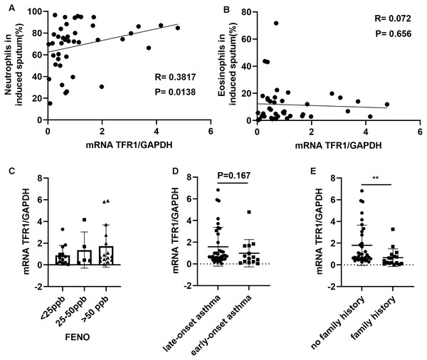 The correlation between TFR1 mRNA expression in induced sputum and other clinical factors.