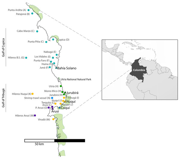 Sampling sites along the Pacific Coast of Colombia.