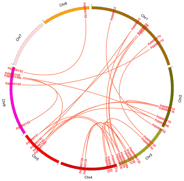 Inter-chromosomal relations of the PdWRKY genes in the almond genome.