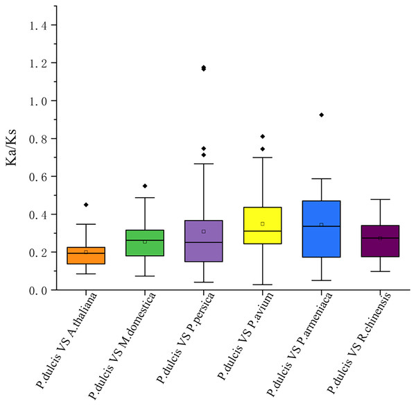 The ratio of nonsynonymous to synonymous substitutions (Ka/Ks) of WRKY genes in almond and other six species.
