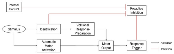 Theoretical illustration of response locked and unlocked by proactive inhibitory control (Favre et al., 2013).