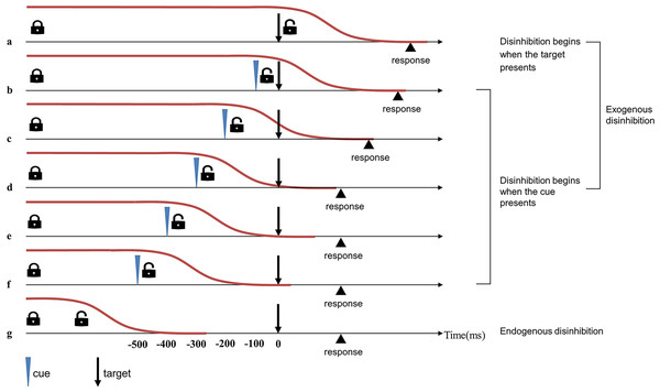 Timeline of exogenous and endogenous disinhibition in simple cue-target detection tasks (Favre et al., 2013).