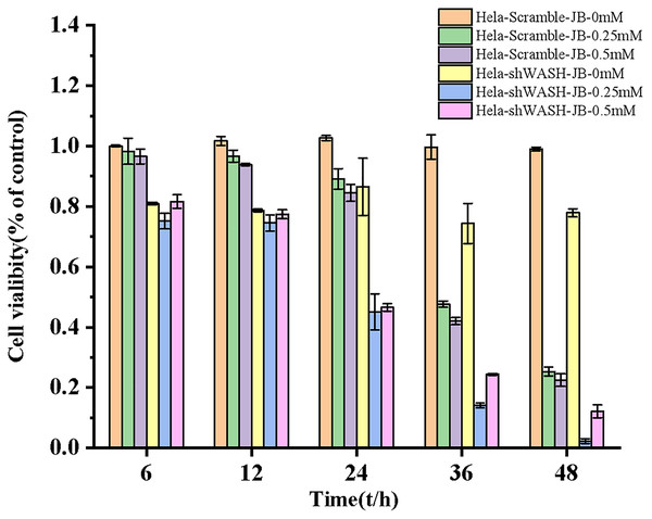 Effects of JB concentration and treatment time on the proliferation of HeLa-Scramble and HeLa-shWASH cells.