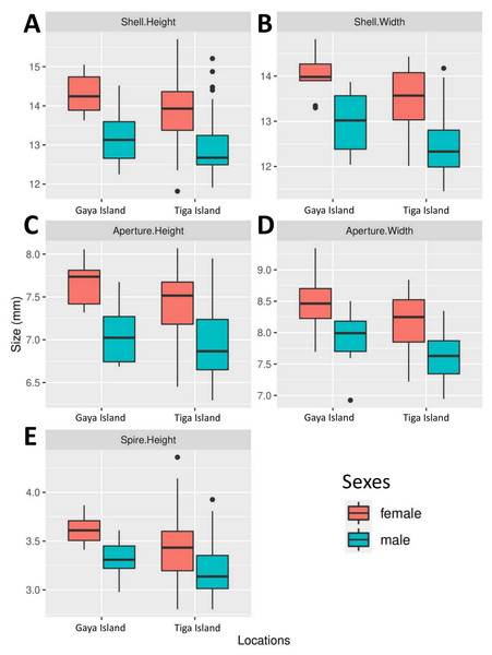 Boxplots show the differences in five quantitative shell measurements between specimens of opposite sex sampled from two locations.