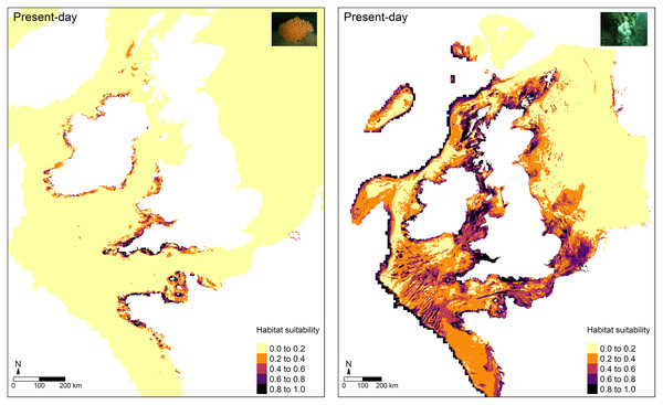 Present-day predictions of habitat suitability.