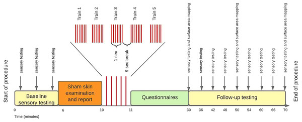 Study procedure.