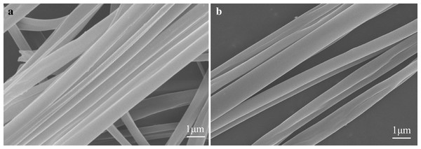 SEM images of uniaxially aligned nanofibers made of different foodborne materials: (A) zein; (B) β–cyclodextrin.