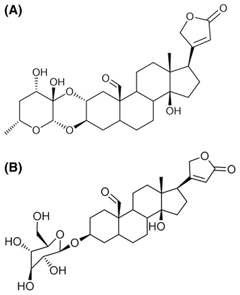 Structure of the cardenolides used for molecular modeling.