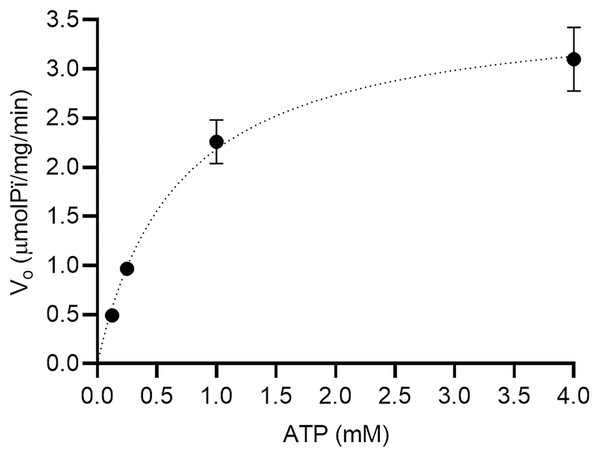 Michaelis-Menten kinetics for the substrate (ATP) on porcine brain Na+/K+-ATPase.