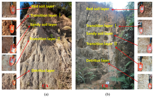 Photograph of soil profile sample collection for collapsing walls CA (A) and CB (B).