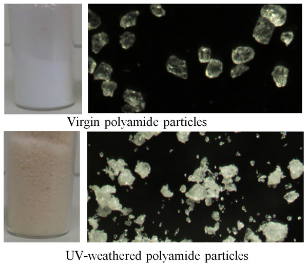 Virgin polyamide particles and the change of colour and increase in the fraction of smaller particles after UV-C weathering.