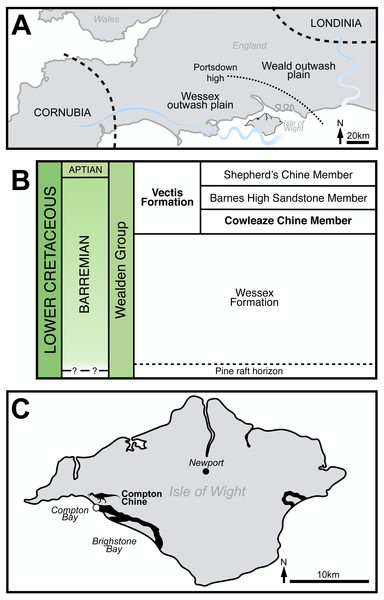General geological context of the White Rock spinosaurid material.