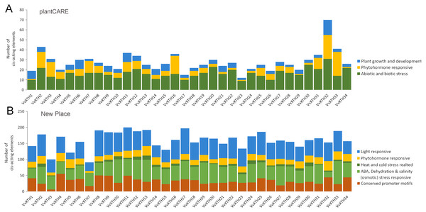 Cis-element analysis in the promoter regions 1,500 bp upstream of the start codons of VvXTHs.