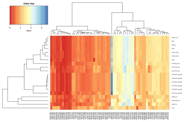 Heatmap of RSCU values for SARS-CoV-2 VOC S genes with respect to the host.
