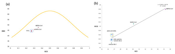ENC and neutrality plot analysis for SARS-CoV-2 VOC S genes (A) The ENC values are plotted against GC3s; the yellow curve represents the standard curve in the absence of selection.
