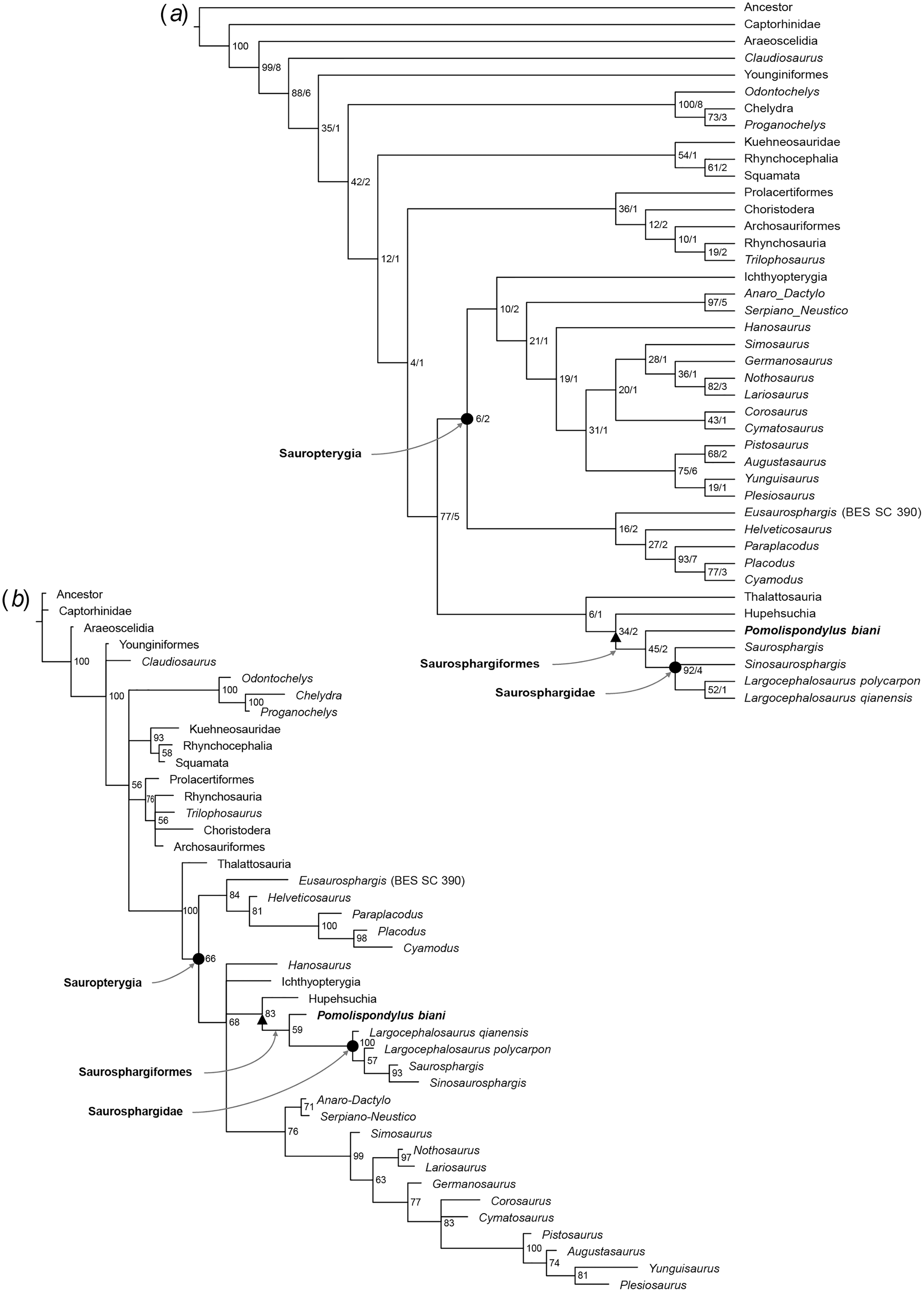 Little Frogs Kumala Chenin - SBTpedigree database Pedigree of