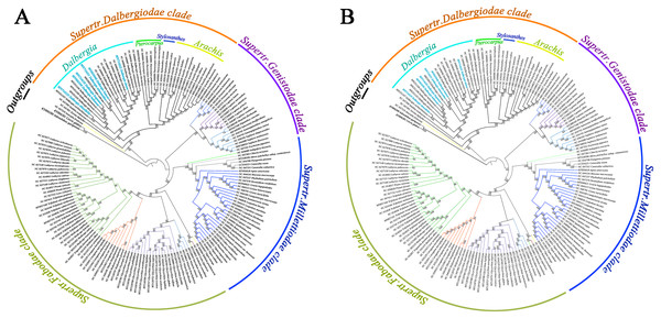 Phylogenetic tree reconstruction of 171 taxa based on 77 genes in the chloroplast genome sequences.